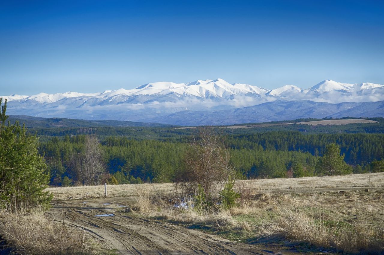 De pracht van de Bulgaarse bossen